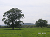 s_PICT0563_thumb.png